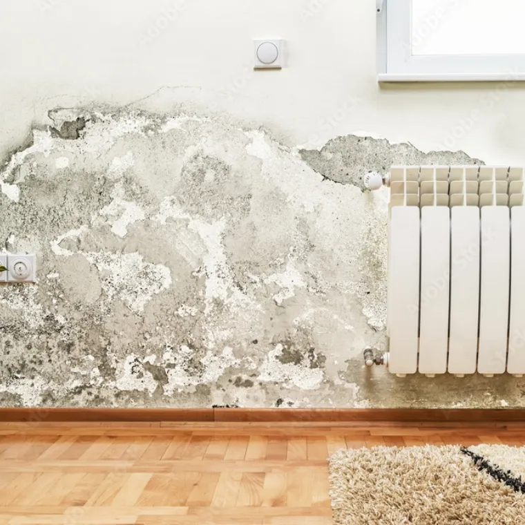 Humedad por capilaridad en pared interior